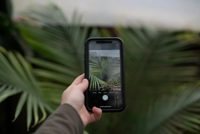 Image describing How to Blur iPhone Background Fast 7 Simple 2026 Tips?