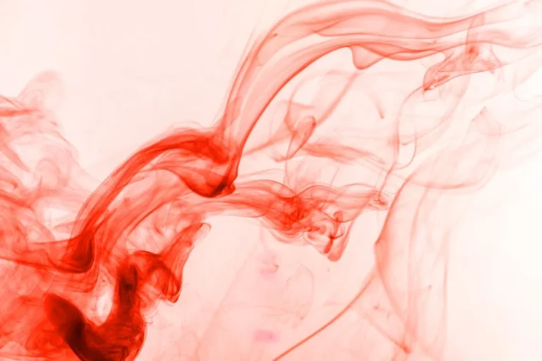 Image describing How to Convert JPEG to JPG Fast in 2026 3 Simple Steps?