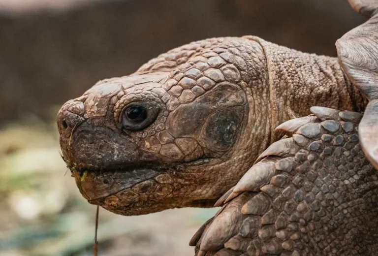 Image describing How to Get 50 Best Free Photos Online Now (2026)